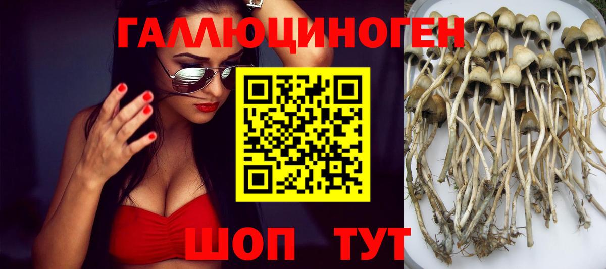 Галлюциногенные грибы Magic Shrooms Гусиноозёрск